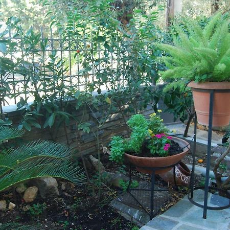 Affordable Luxury Garden Apartment Atenas Exterior foto