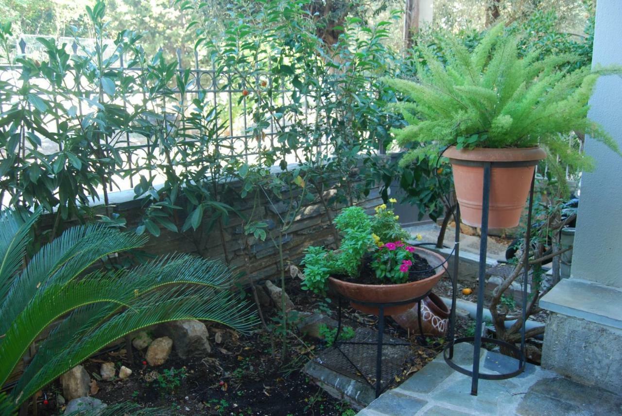 Affordable Luxury Garden Apartment Atenas Exterior foto